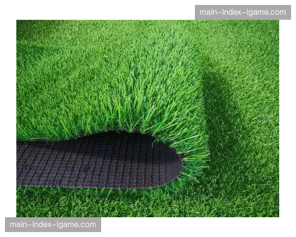 深度调查：法国南部球场草皮质量普遍下滑，与气候变化关联几何？