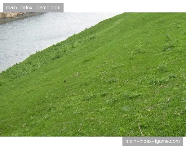 普鲁士公园球场完成草皮更换,采用混合草种以提升球速适应快速渗透打法 普鲁士公园球场完成草皮更换,采用混合草种以提升球速适应快速渗透打法